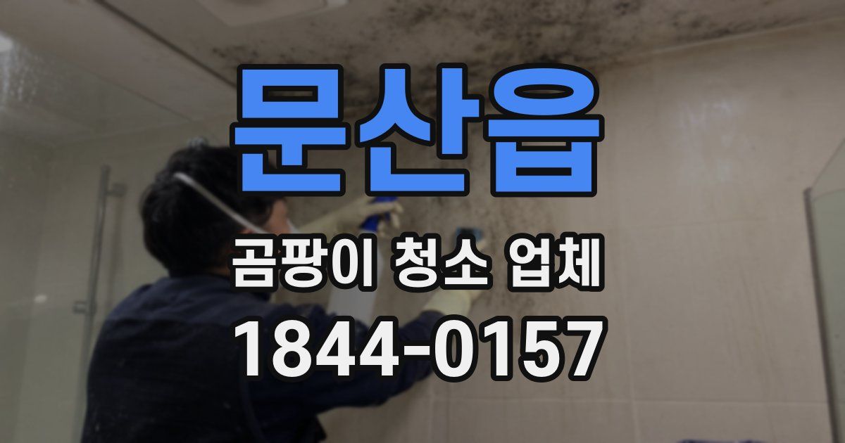 문산읍 곰팡이 청소 업체