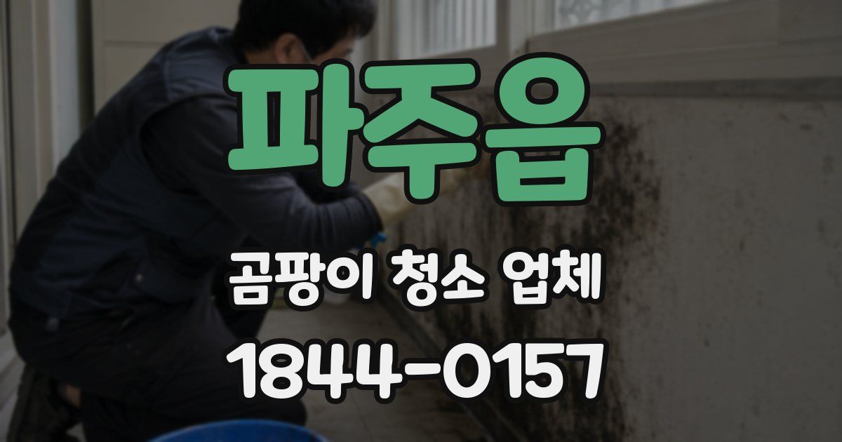 파주읍 곰팡이 청소 업체