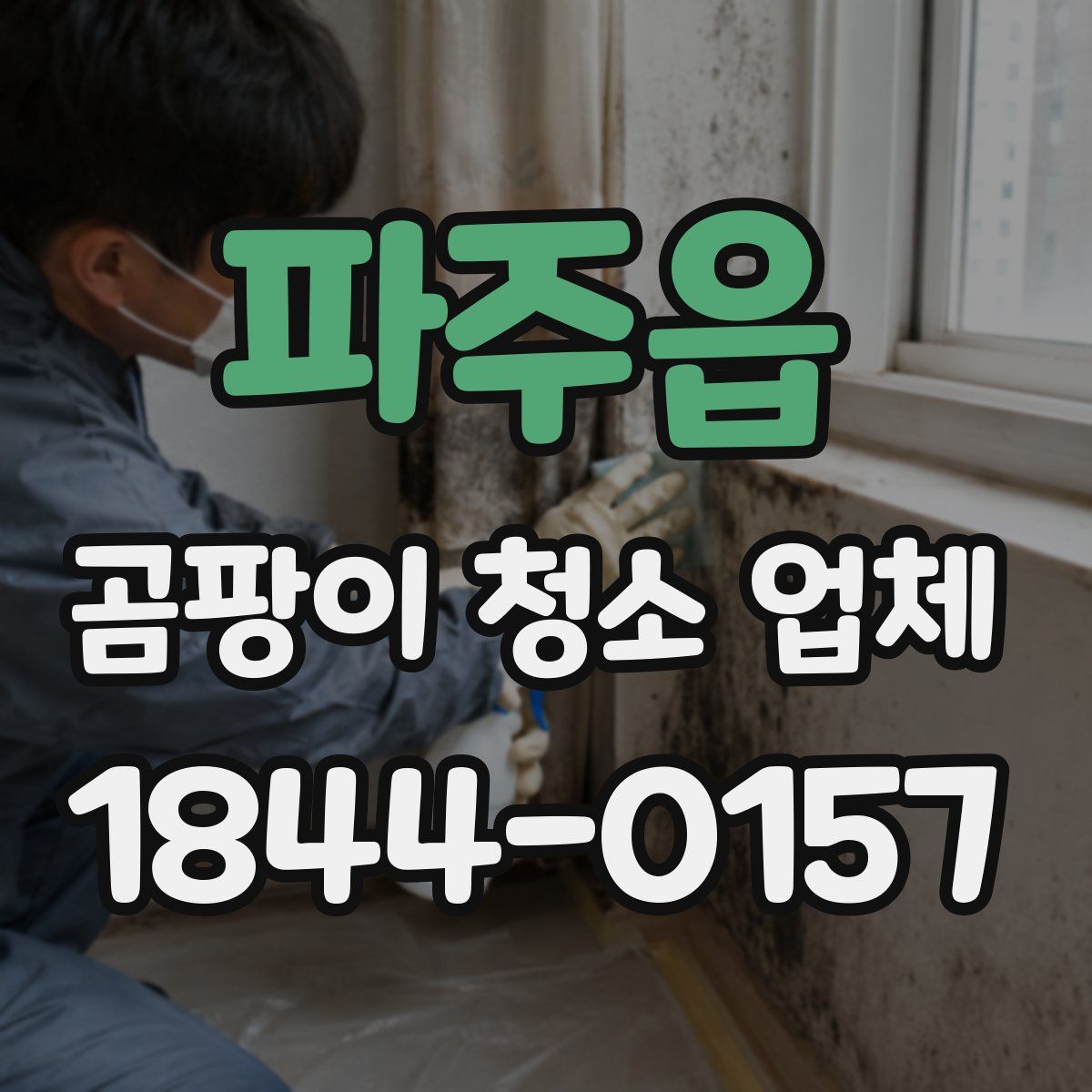 파주읍 곰팡이 청소 업체