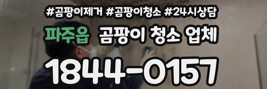 파주읍 곰팡이 청소 업체