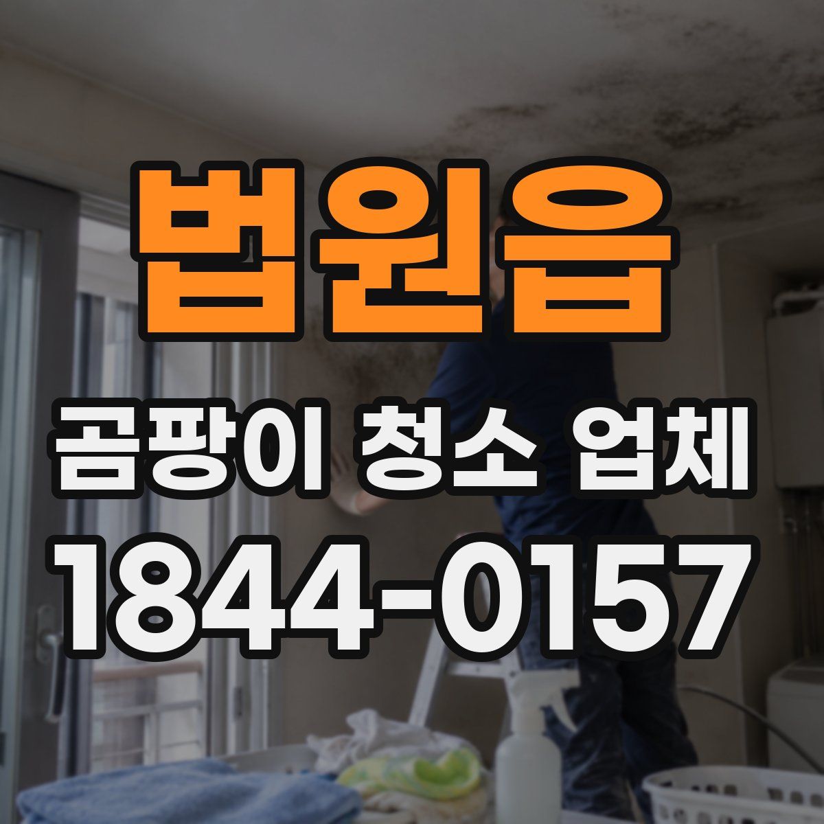 법원읍 곰팡이 청소 업체