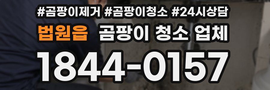 법원읍 곰팡이 청소 업체