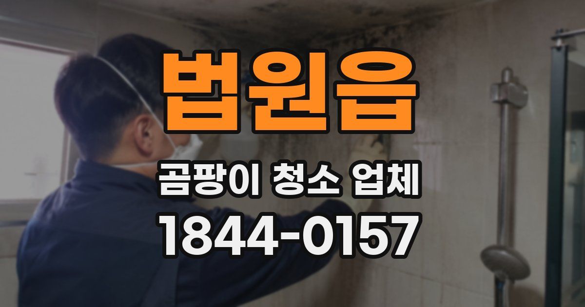 법원읍 곰팡이 청소 업체