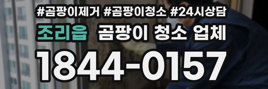 조리읍 곰팡이 청소 업체