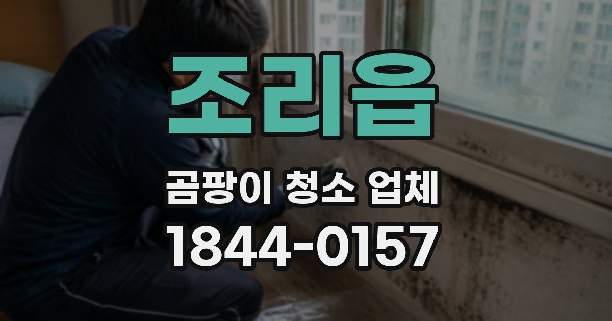 조리읍 곰팡이 청소 업체