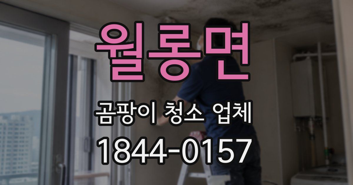 월롱면 곰팡이 청소 업체