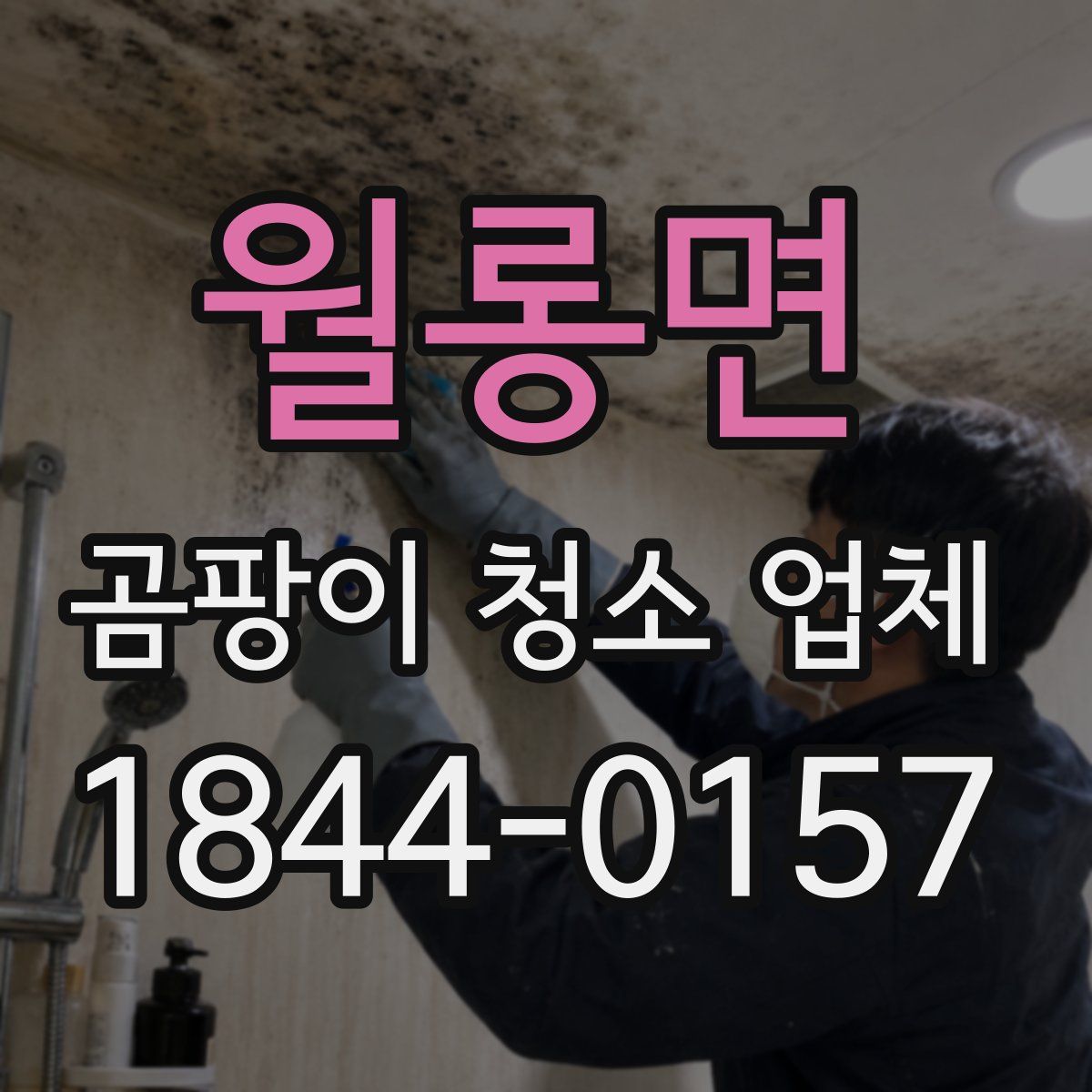 월롱면 곰팡이 청소 업체