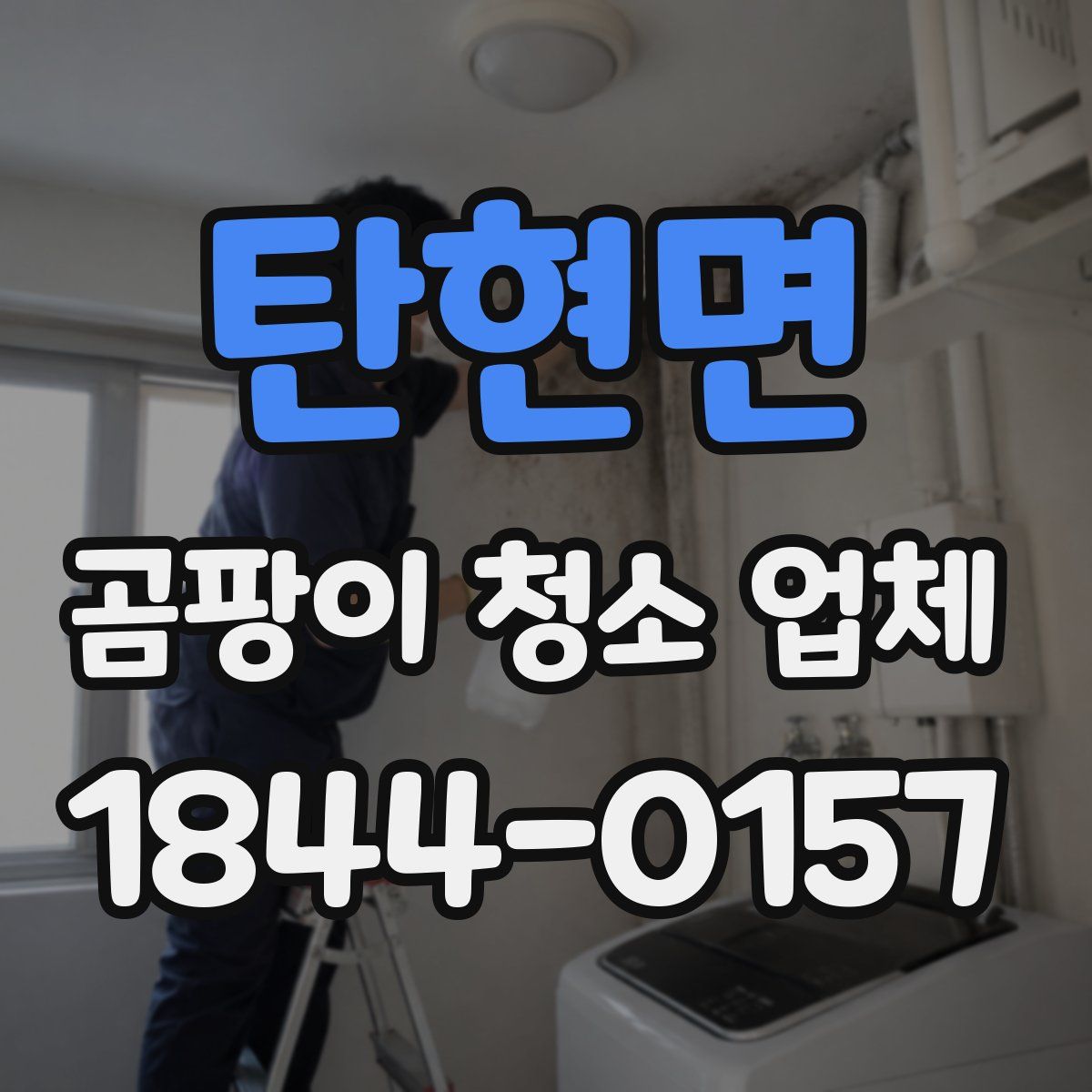 탄현면 곰팡이 청소 업체