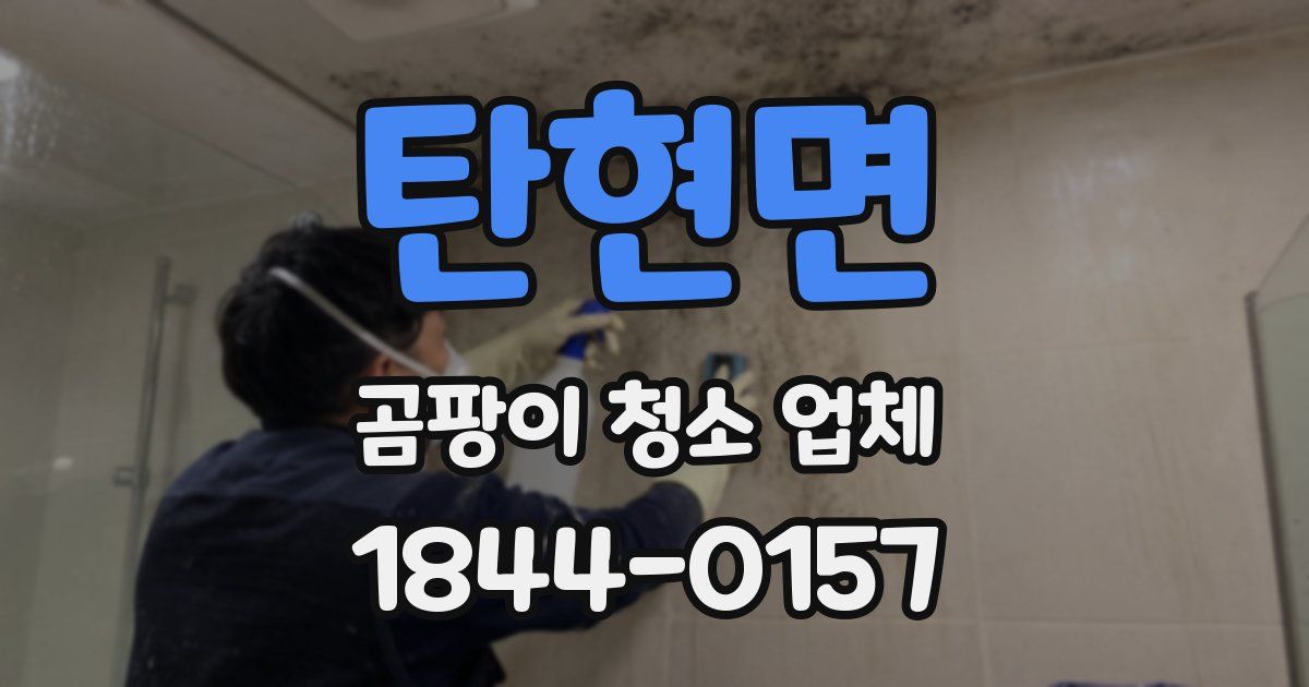 탄현면 곰팡이 청소 업체