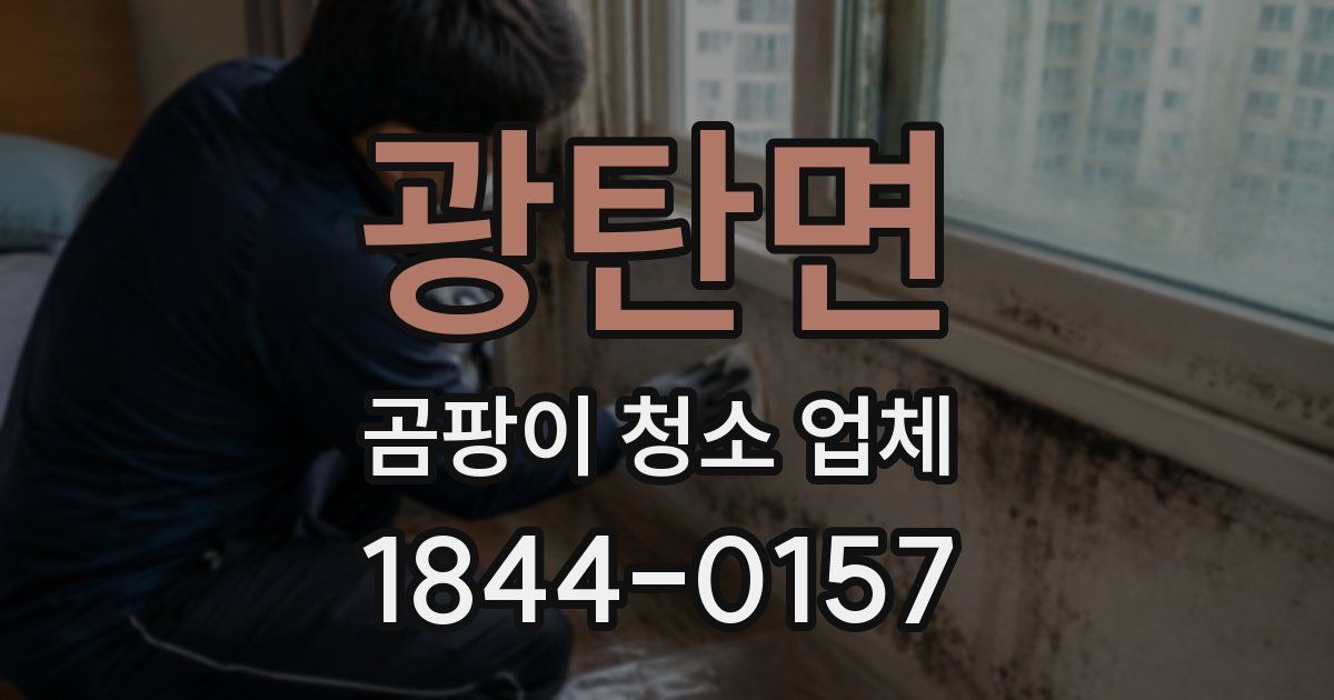 광탄면 곰팡이 청소 업체