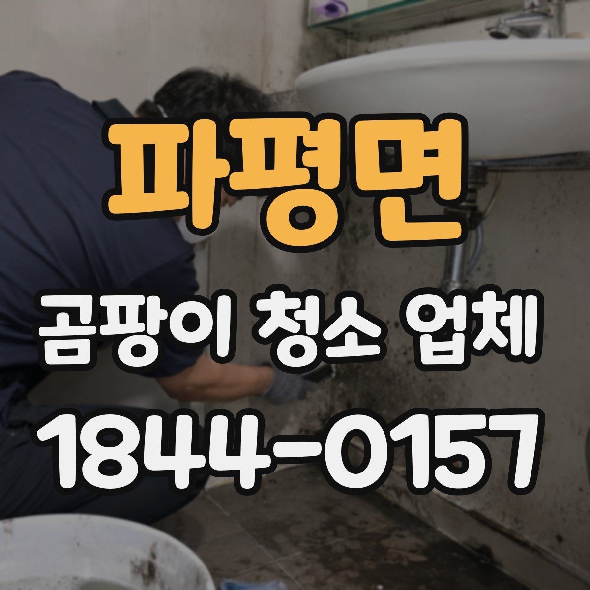 파평면 곰팡이 청소 업체 공간별로 달라지는 맞춤 청소 방식