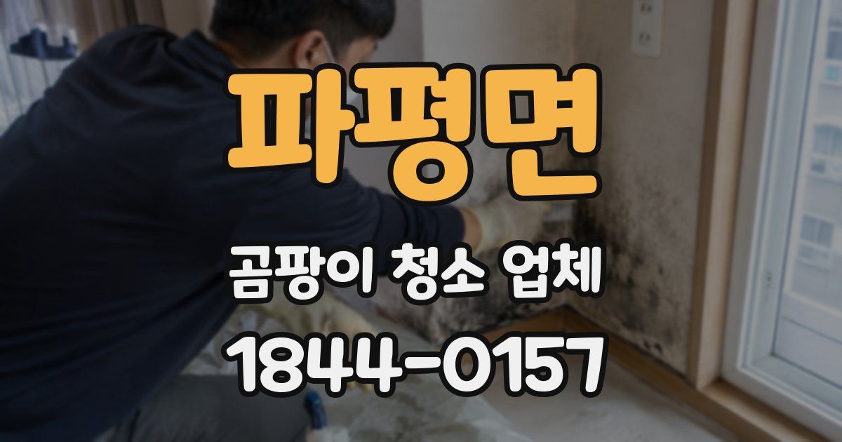 파평면 곰팡이 청소 업체