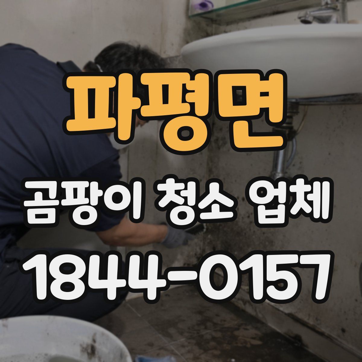 파평면 곰팡이 청소 업체