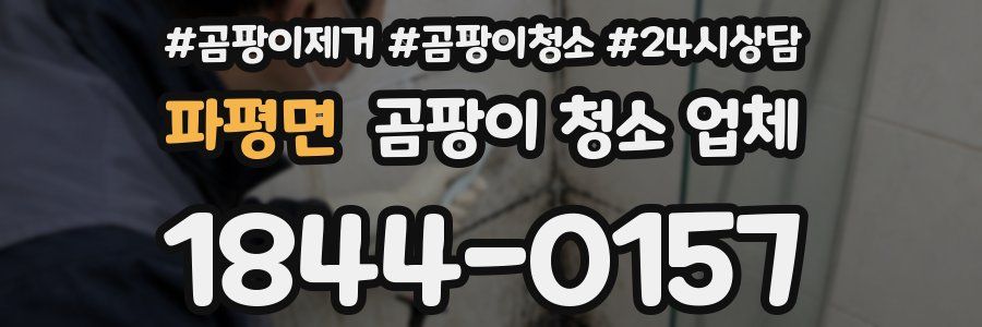 파평면 곰팡이 청소 업체