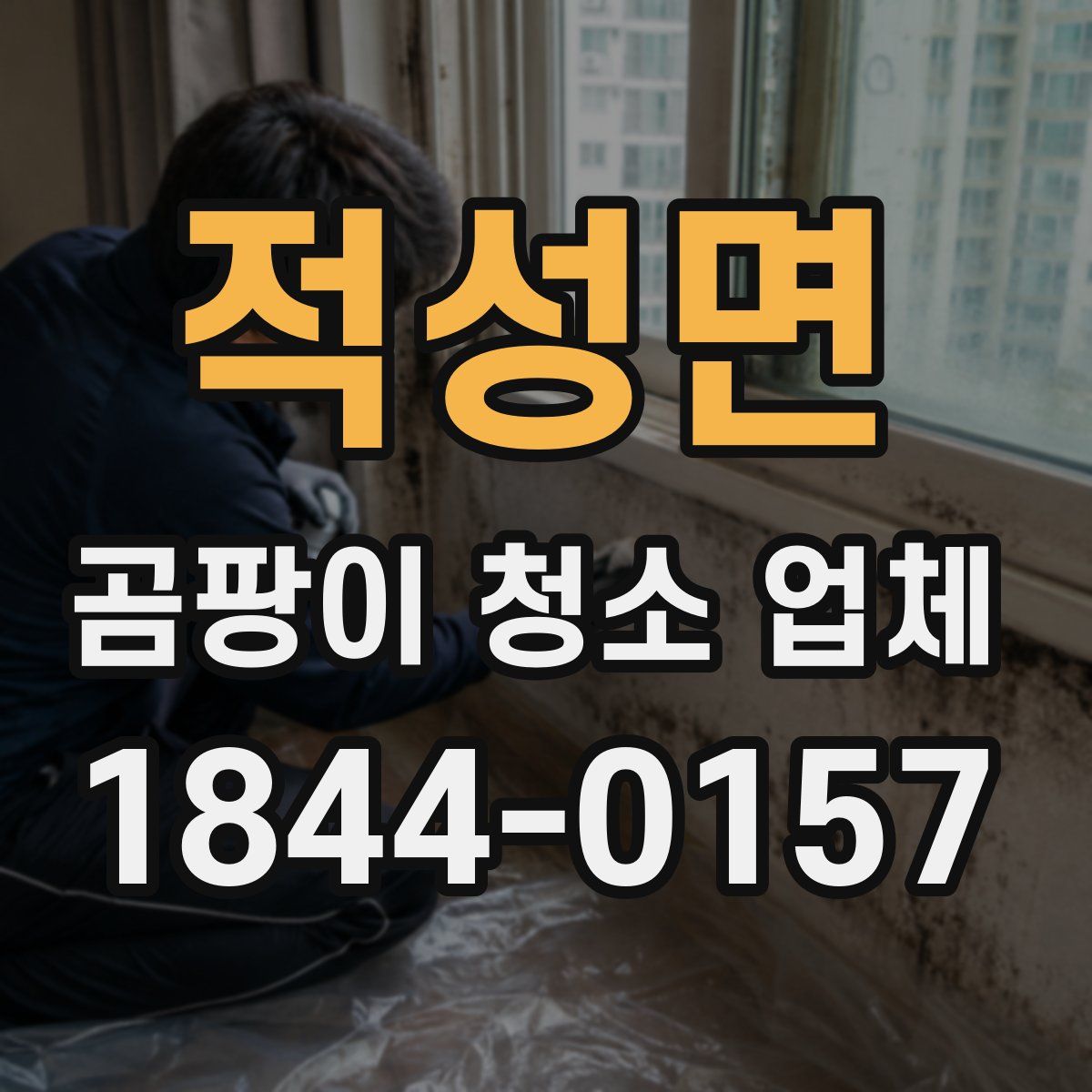 적성면 곰팡이 청소 업체