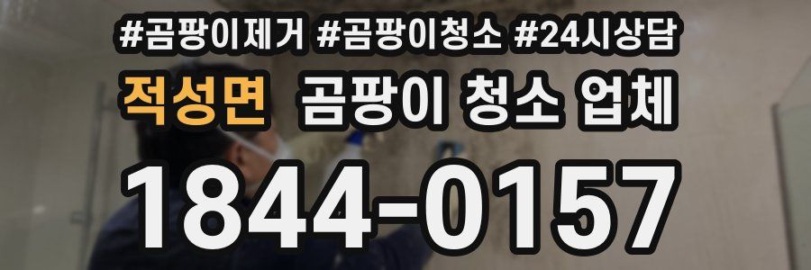 적성면 곰팡이 청소 업체
