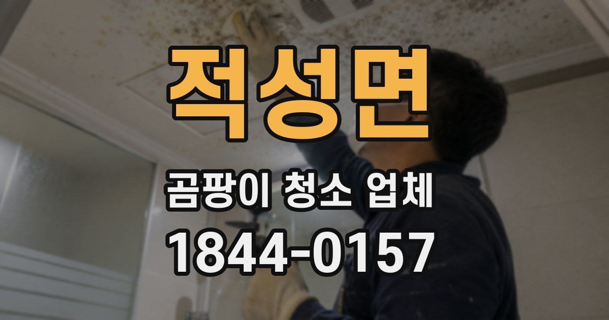 적성면 곰팡이 청소 업체