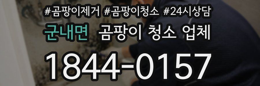 군내면 곰팡이 청소 업체