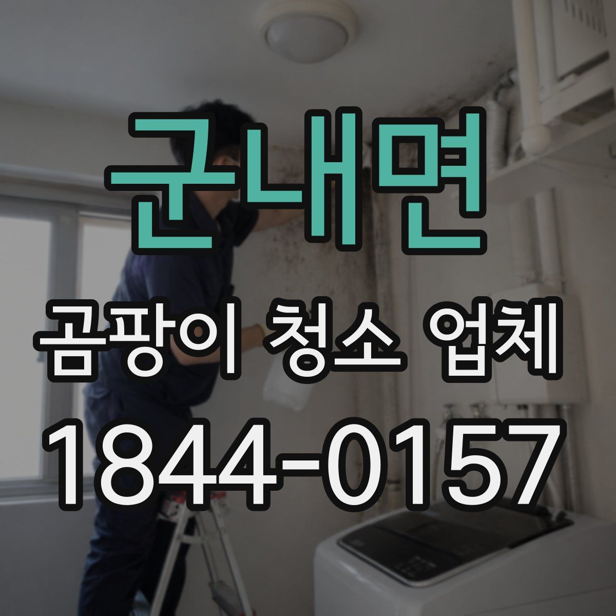 군내면 곰팡이 청소 업체