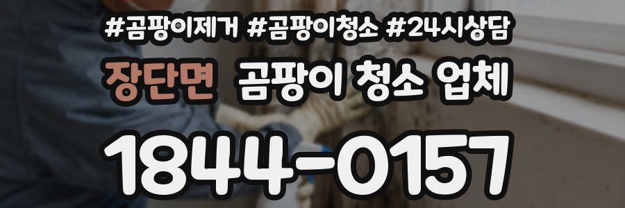 장단면 곰팡이 청소 업체