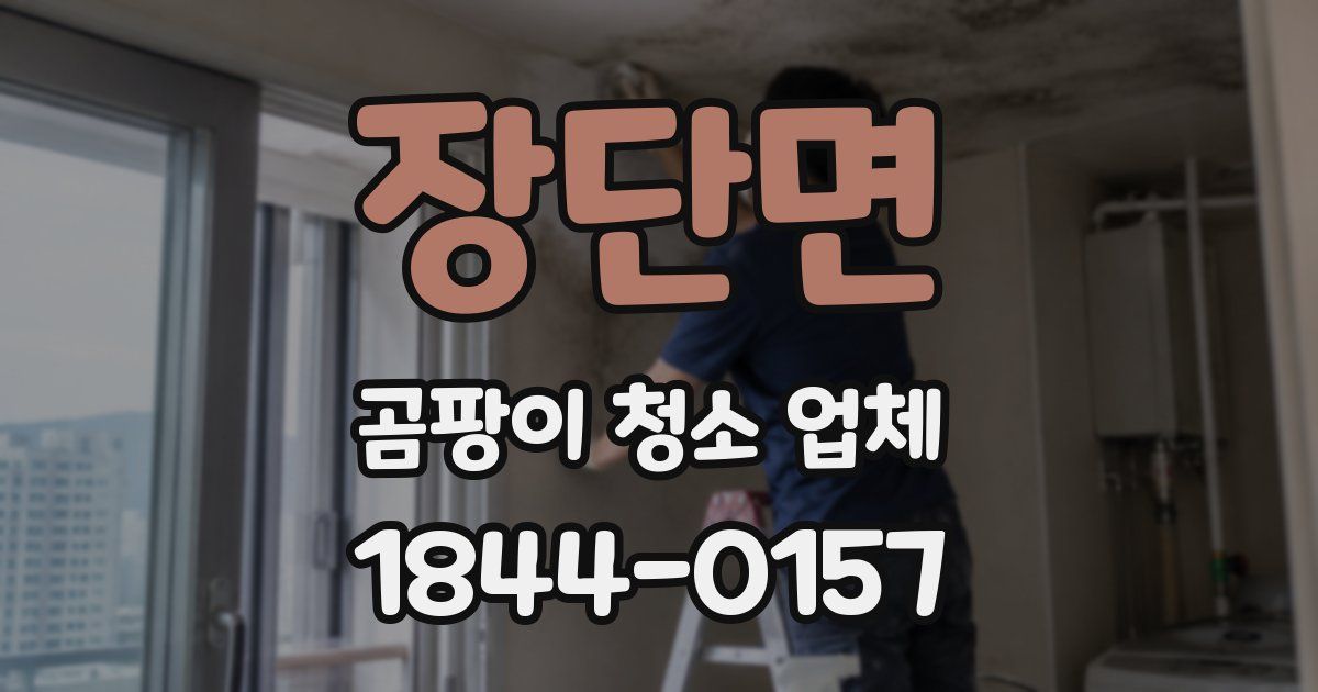 장단면 곰팡이 청소 업체