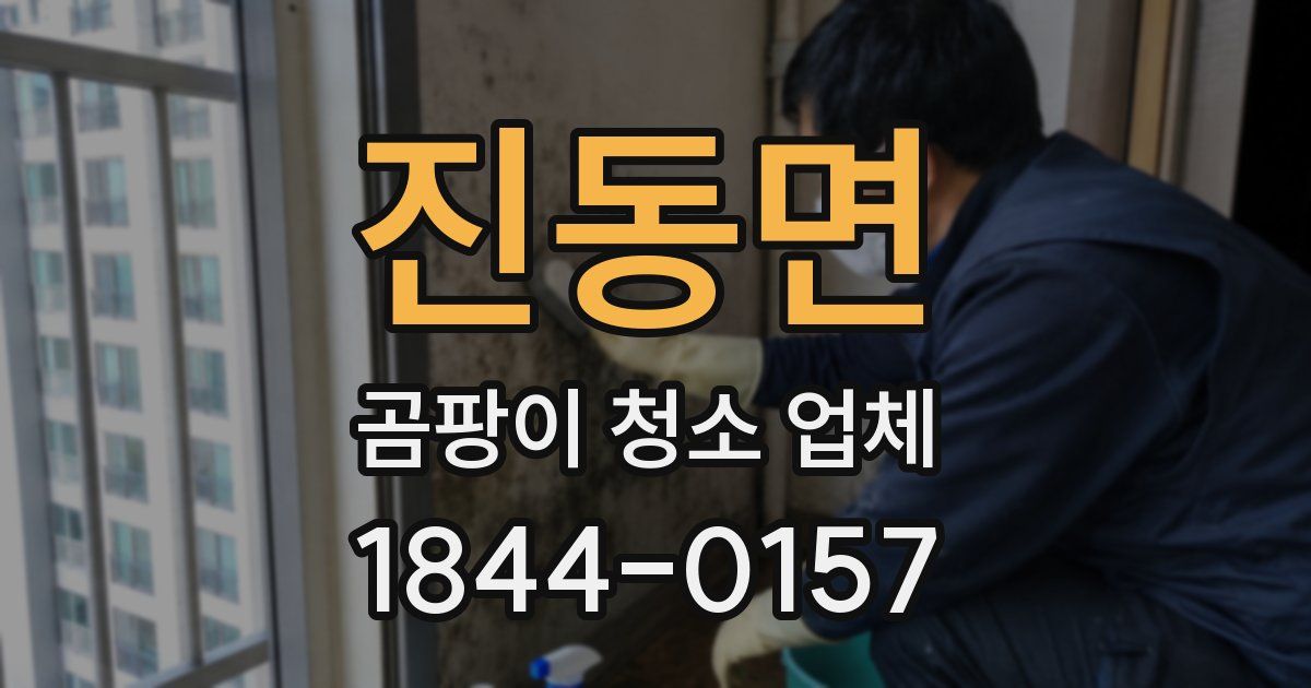 진동면 곰팡이 청소 업체