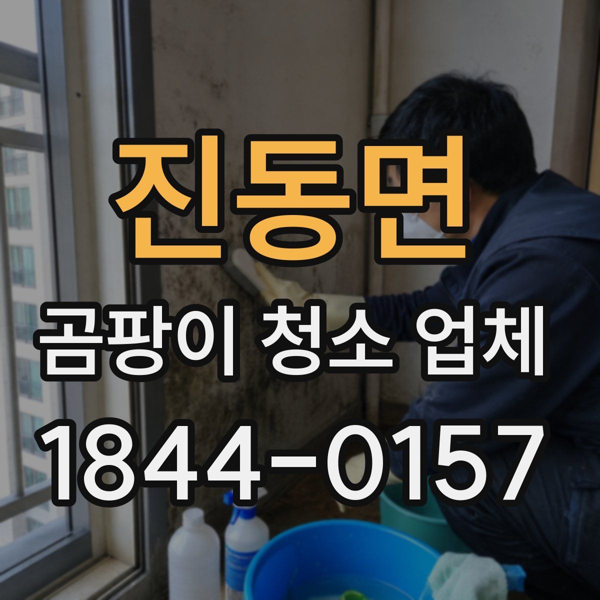 진동면 곰팡이 청소 업체