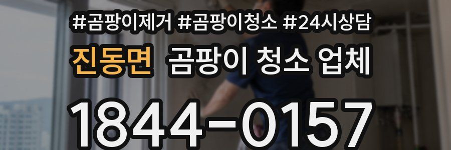 진동면 곰팡이 청소 업체