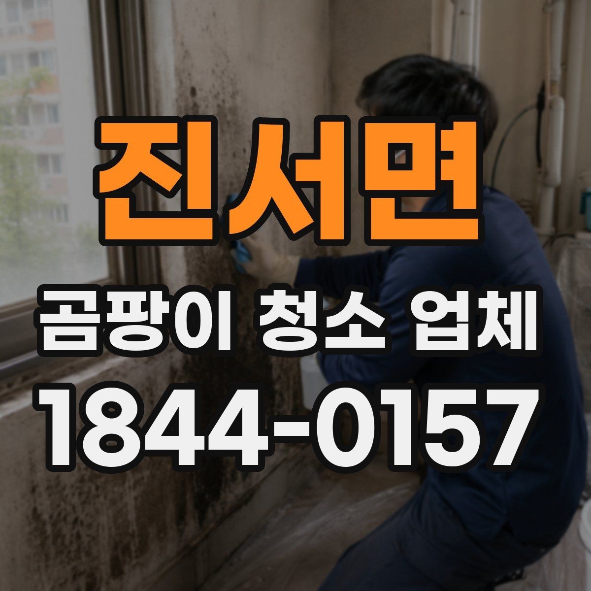 진서면 곰팡이 청소 업체 벽지와 욕실 곰팡이 제거 범위