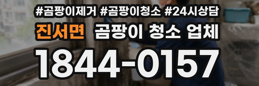 진서면 곰팡이 청소 업체