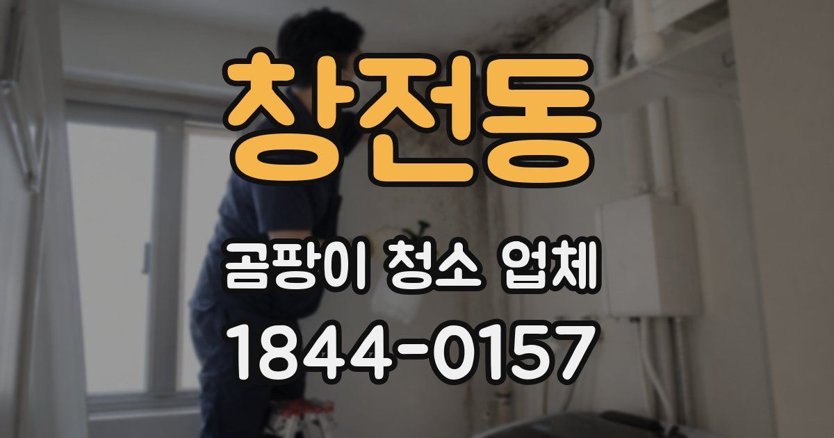 창전동 곰팡이 청소 업체