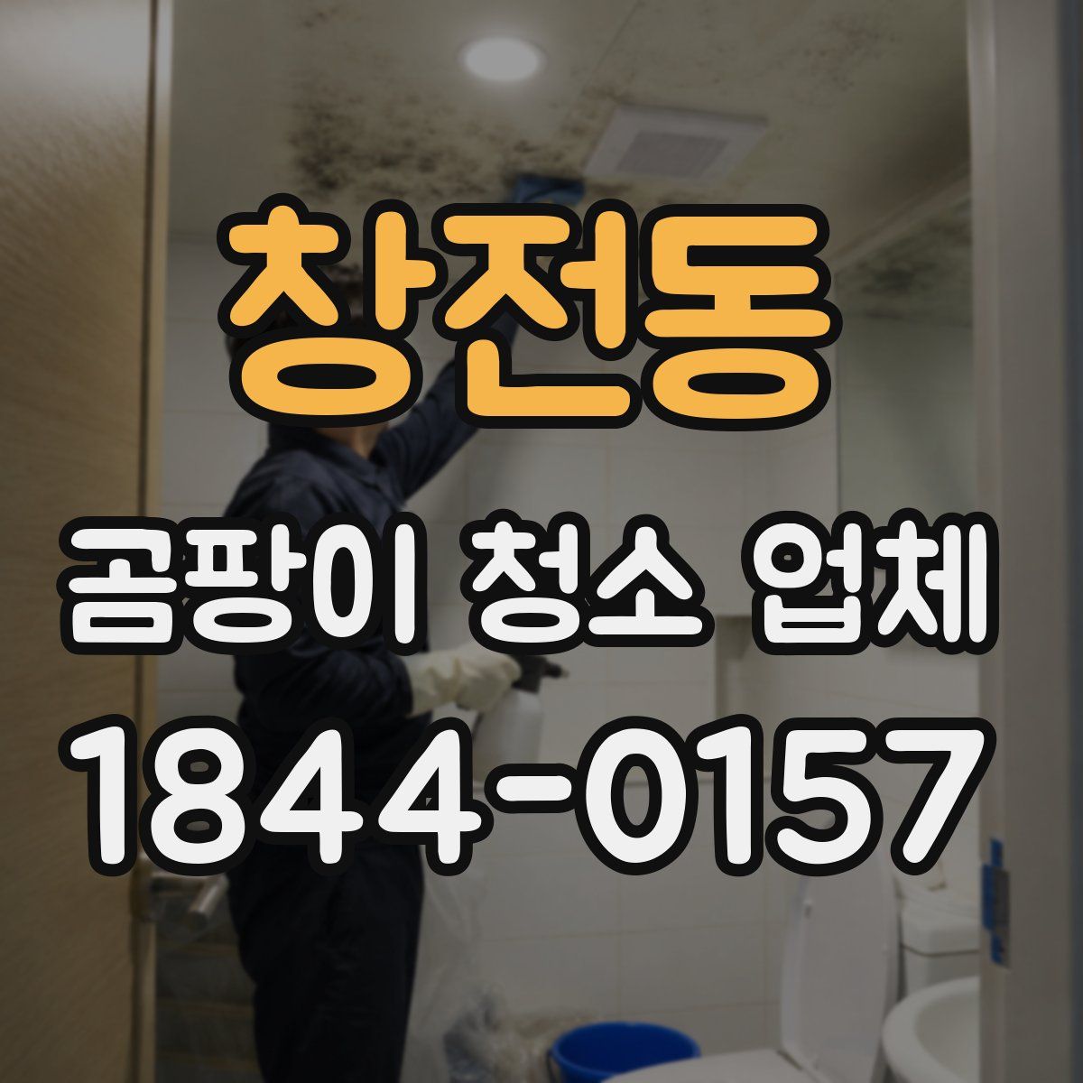 창전동 곰팡이 청소 업체