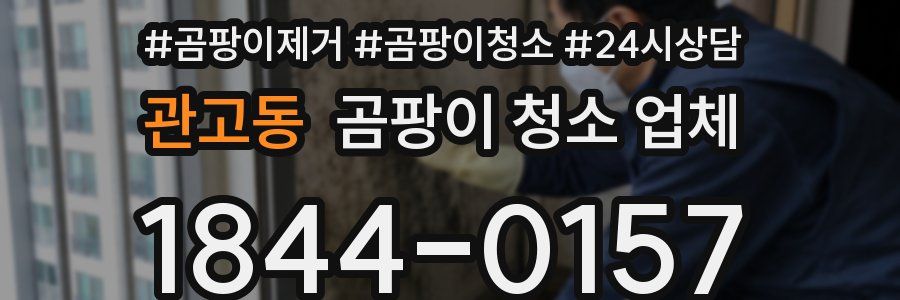 관고동 곰팡이 청소 업체
