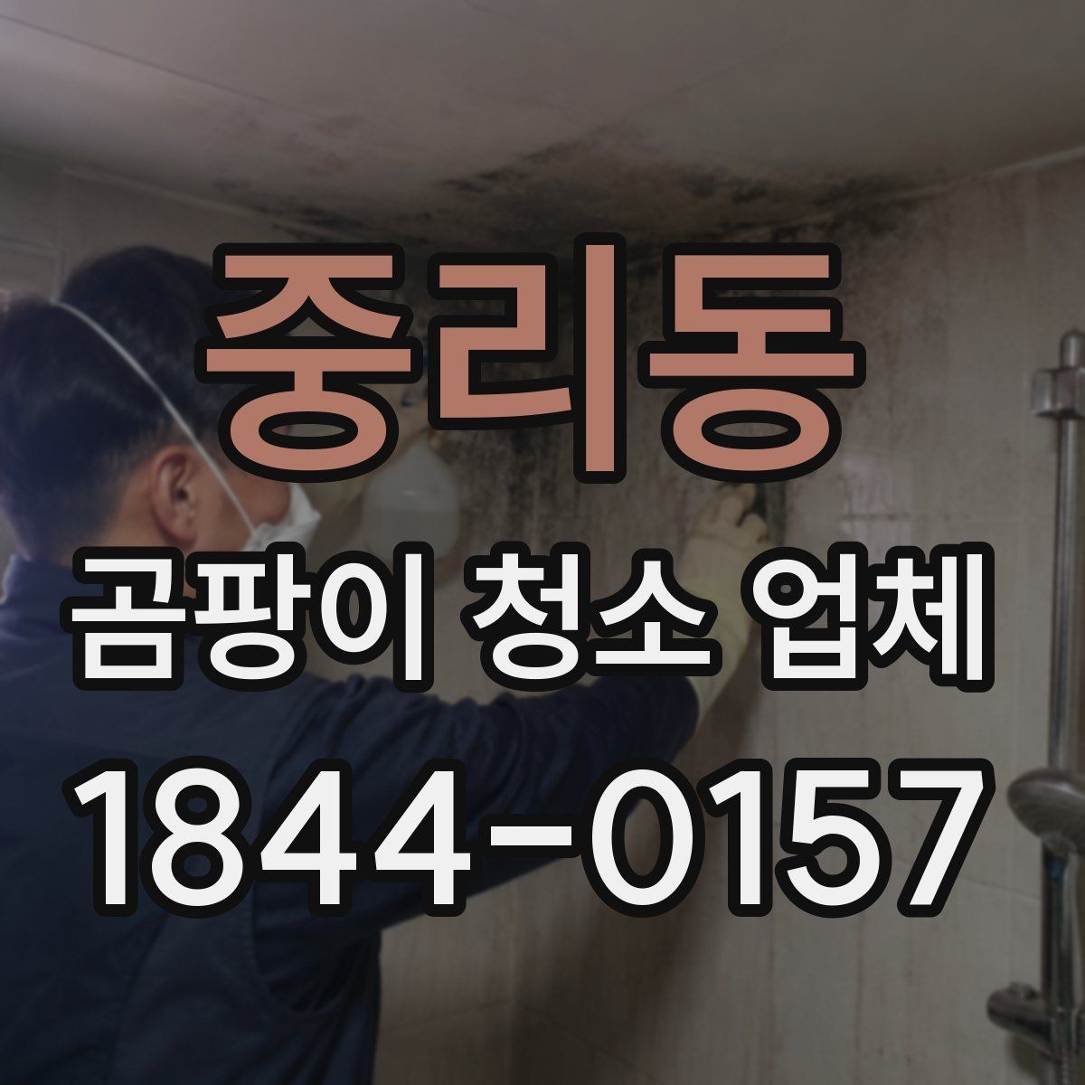 중리동 곰팡이 청소 업체 민감한 실내에서 주의할 작업 절차