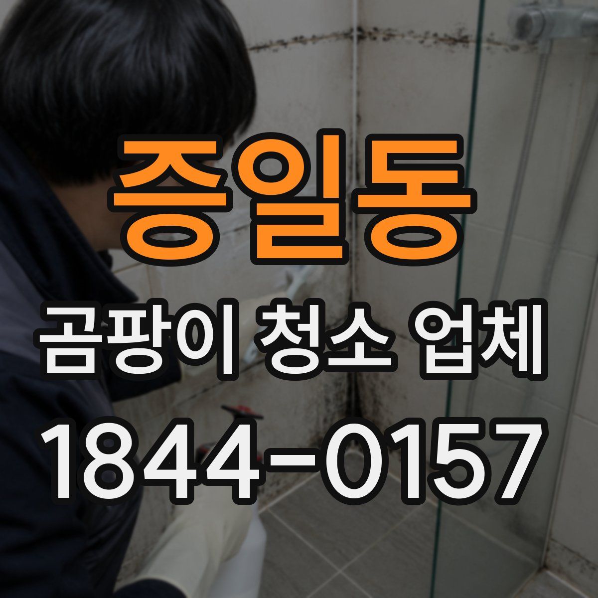 증일동 곰팡이 청소 업체
