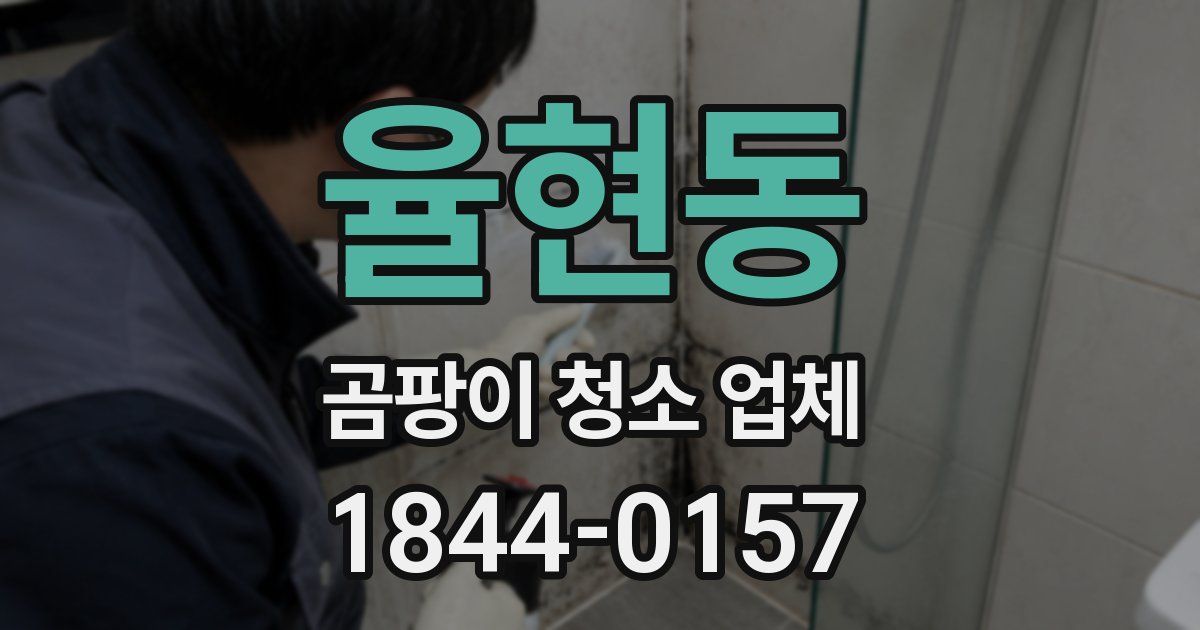 율현동 곰팡이 청소 업체