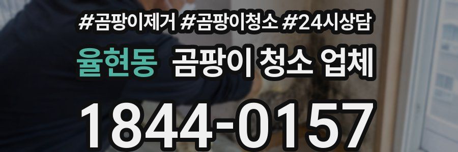 율현동 곰팡이 청소 업체