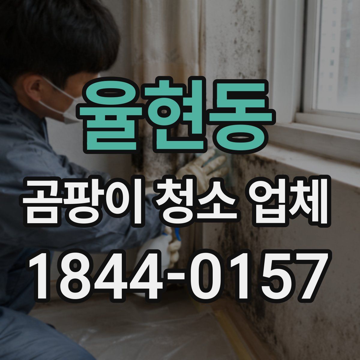 율현동 곰팡이 청소 업체