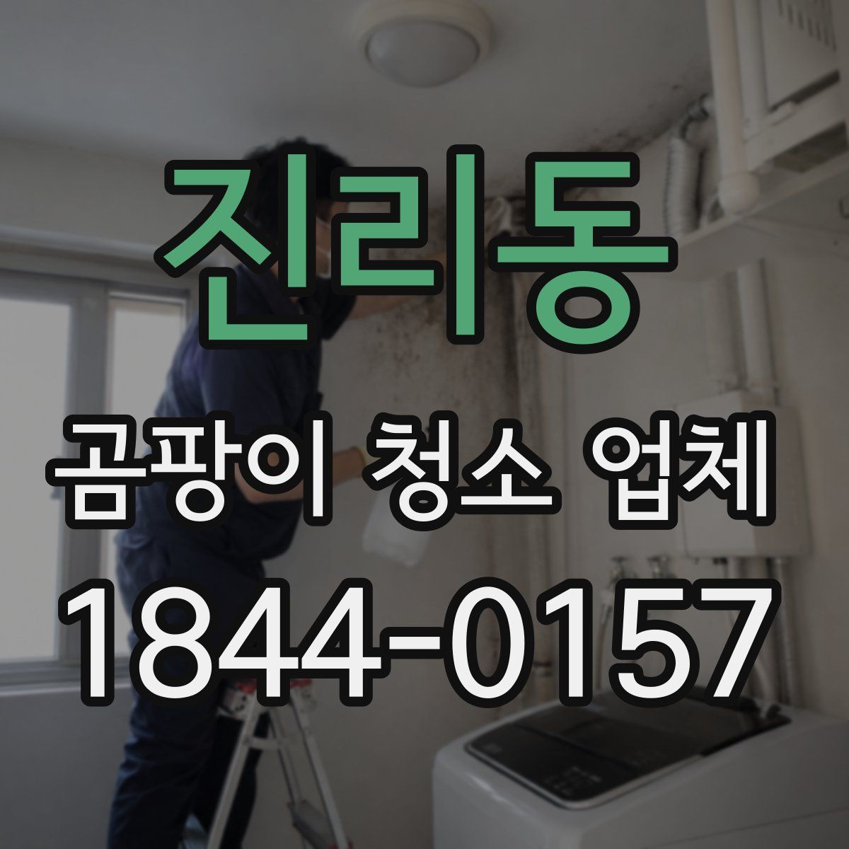 진리동 곰팡이 청소 업체