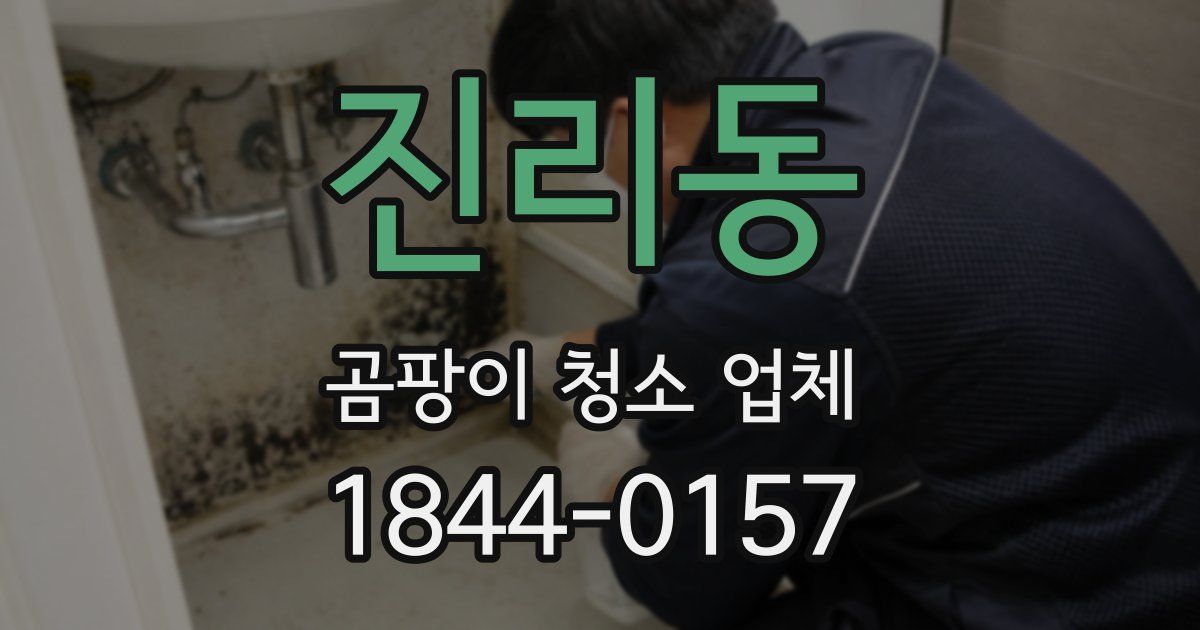 진리동 곰팡이 청소 업체
