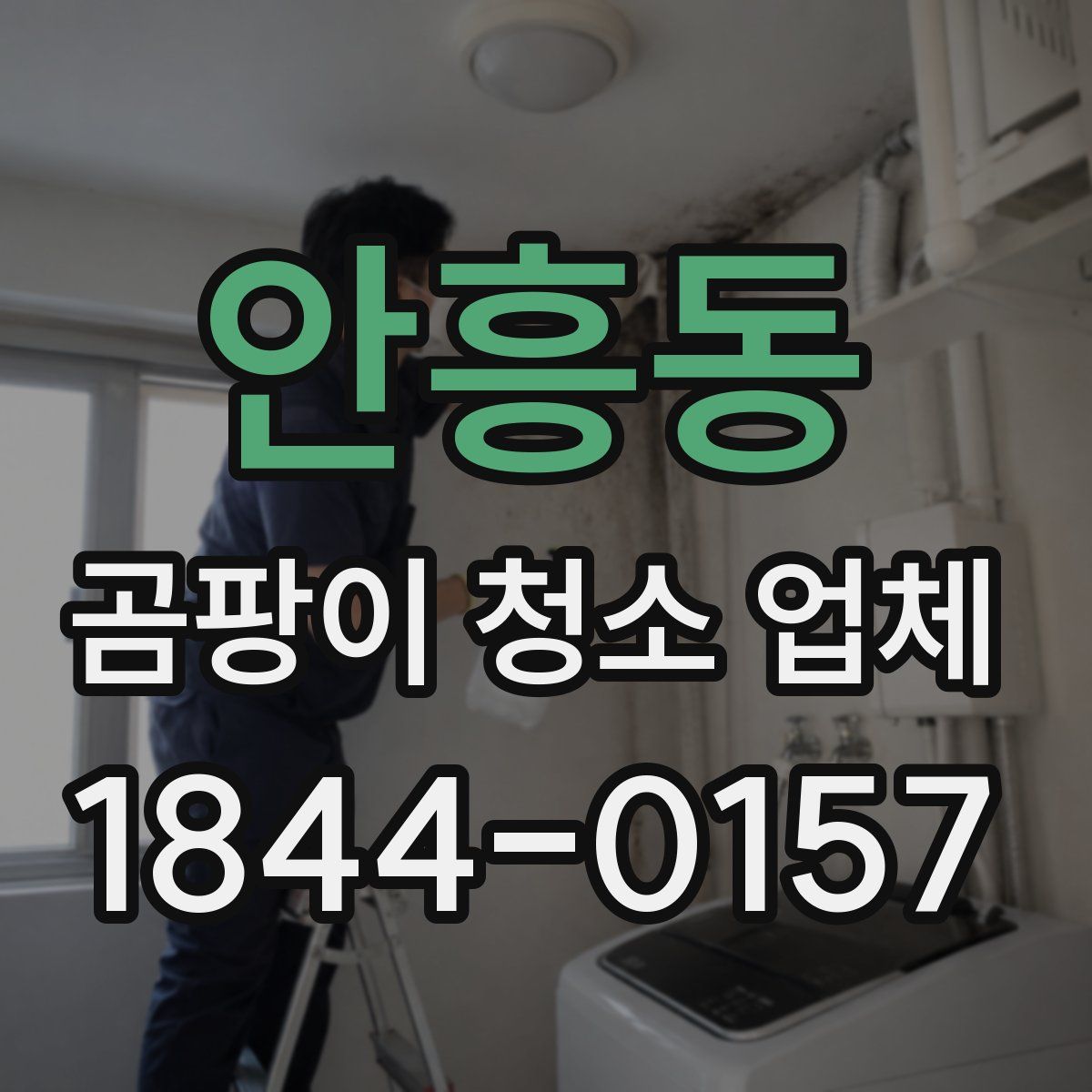 안흥동 곰팡이 청소 업체