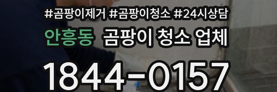 안흥동 곰팡이 청소 업체