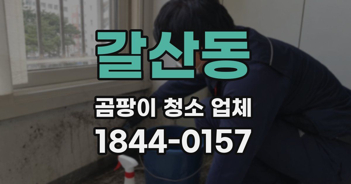 갈산동 곰팡이 청소 업체