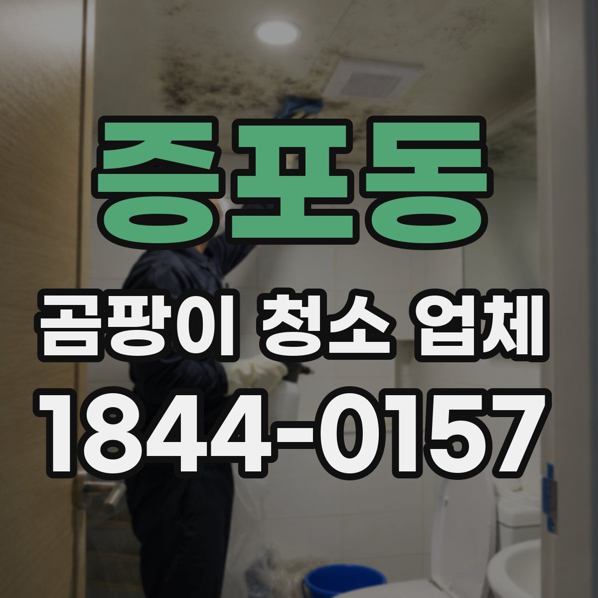 증포동 곰팡이 청소 업체