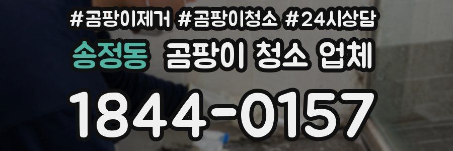 송정동 곰팡이 청소 업체
