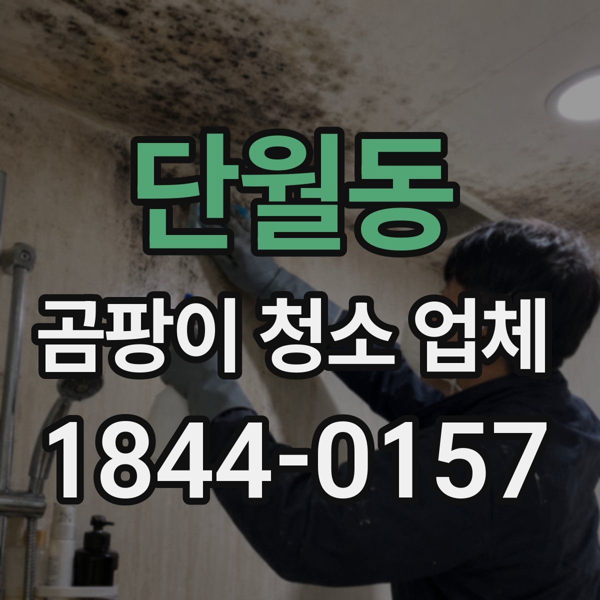 단월동 곰팡이 청소 업체