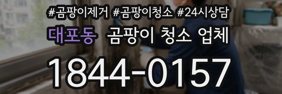 대포동 곰팡이 청소 업체