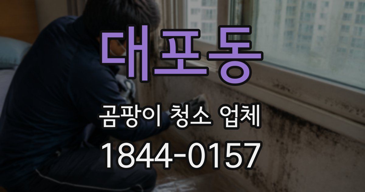 대포동 곰팡이 청소 업체