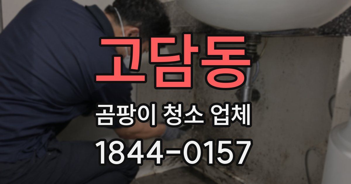 고담동 곰팡이 청소 업체