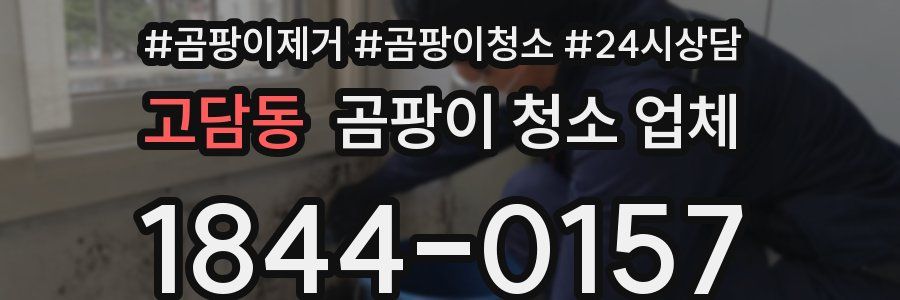 고담동 곰팡이 청소 업체